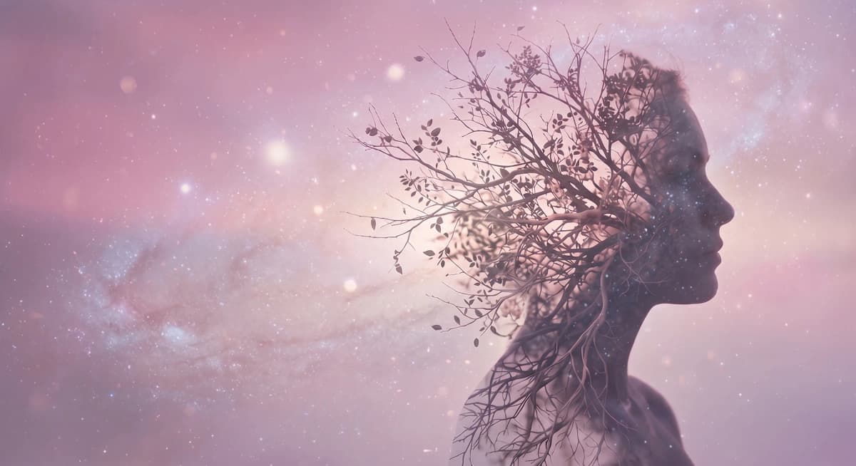 Is a $5,000 meditation retreat worth it?